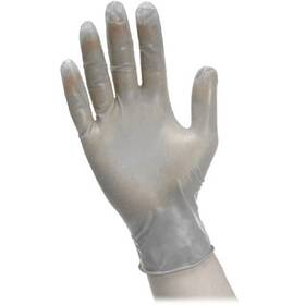 Photographers Formulary 09-0319 Photographersft Vinyl Gloves Large 100 Pack #09-0319