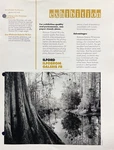 Ilford Sales Tech Data Brochures, B&w Papers, Films, Chemicals Equip, 21 Pcs. Price: $19.95.